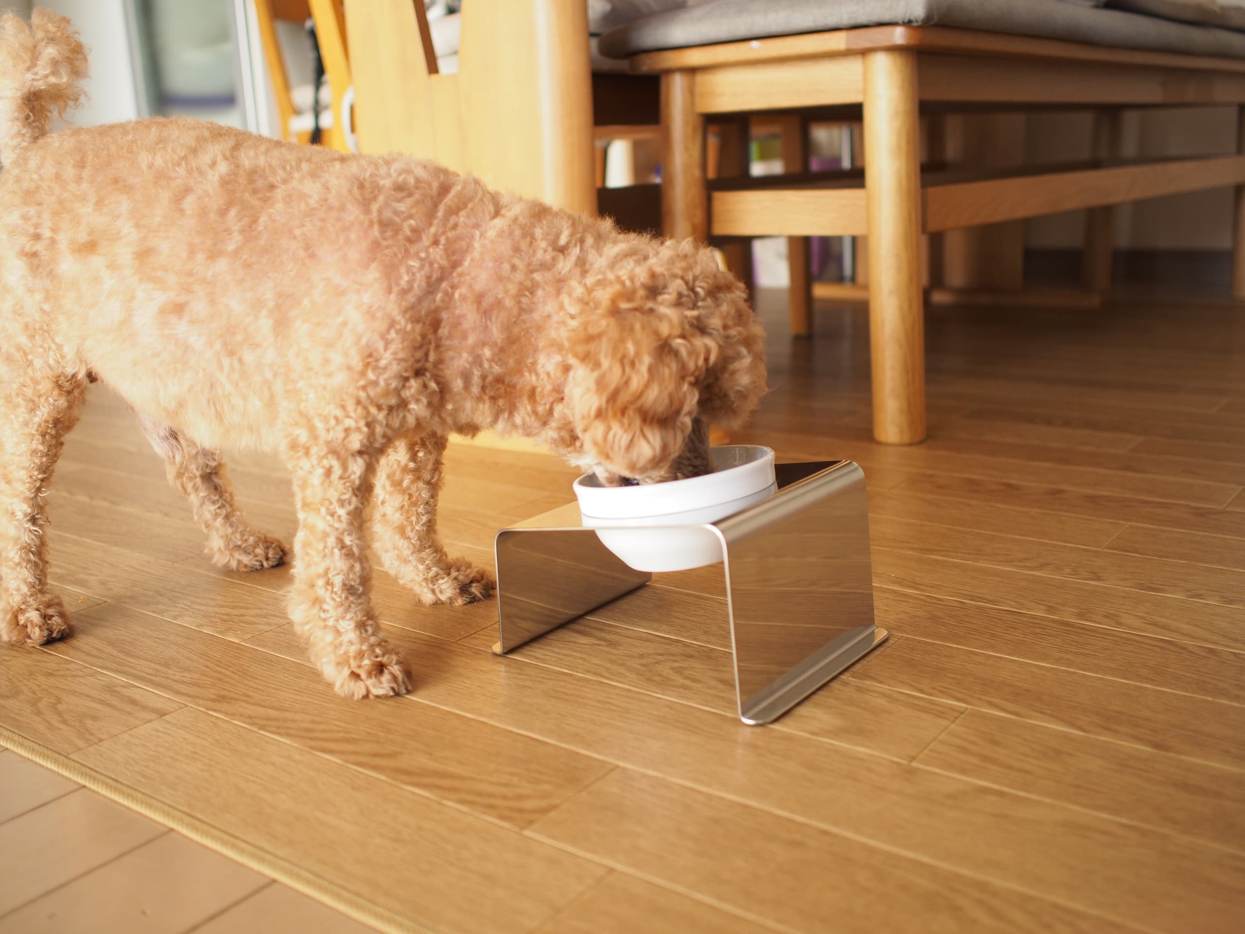 ドギースタイルスタンド